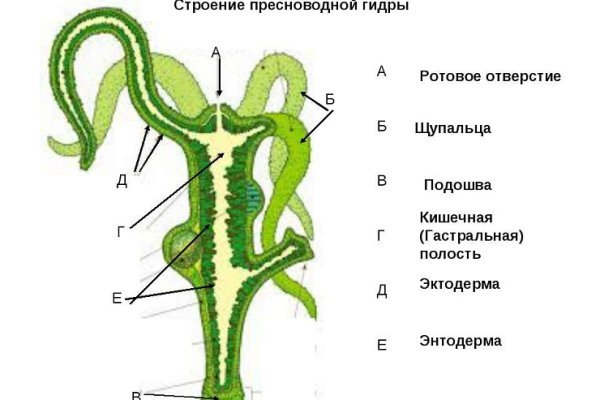 Кракен купить наркоту